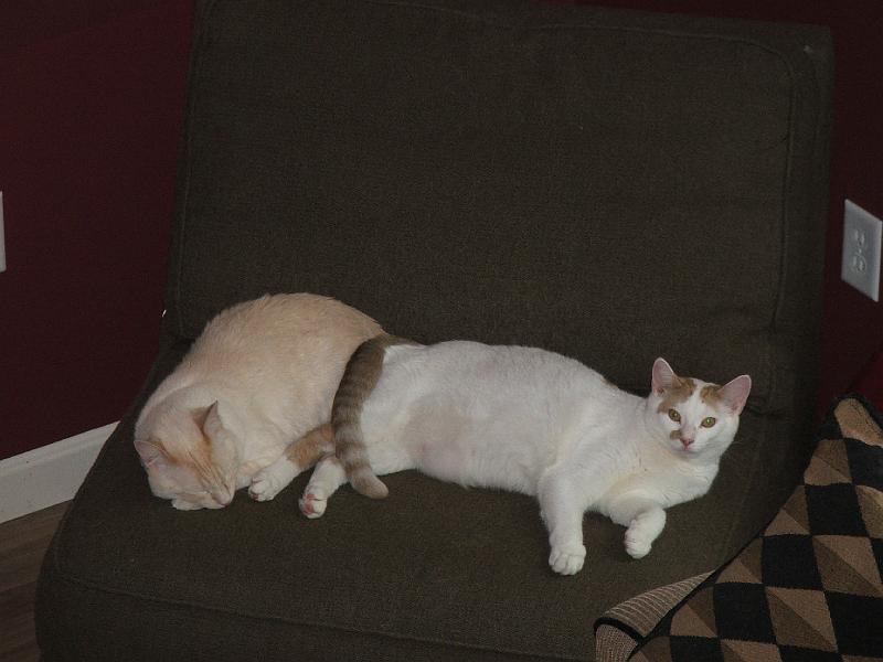 Jul 27 2008 031.JPG